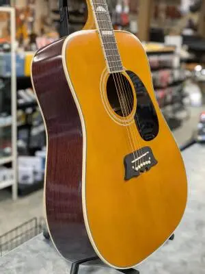 Epiphone - EMEXNAGH 2